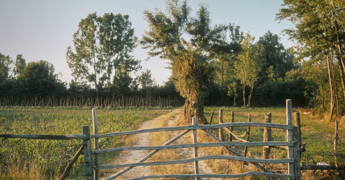 Cerco rural con varillas y pastizal en paisaje serrano