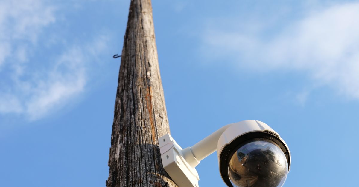 Cámara trampa instalada en un poste de madera en zona rural